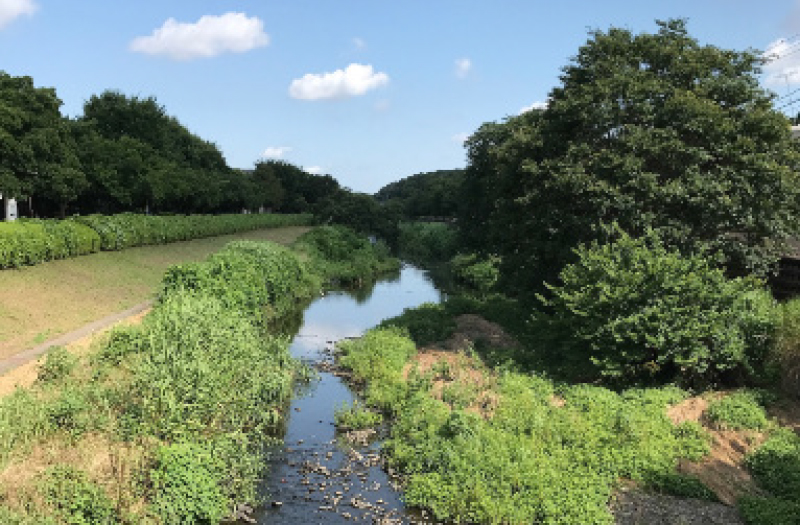 朝の風景の中で